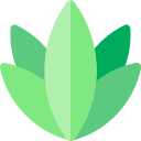 Agave icon