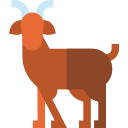 Reino animal icon