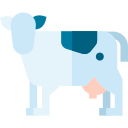 Reino animal icon