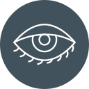 ojo icon