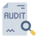 auditoría icon