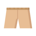 Shorts icon