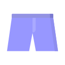Shorts icon
