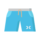 Shorts icon