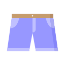 Shorts icon