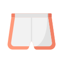 Shorts icon