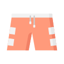 Shorts icon