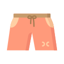 Shorts icon