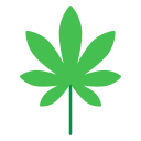 잎 