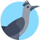 Correcaminos icon