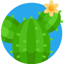 Cactus icon