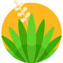 Planta icon