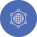 Network icon