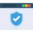 seguridad web icon