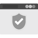 seguridad web icon