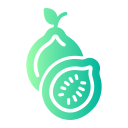 guayaba icon