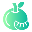 mandarina icon