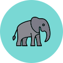 elefante icon