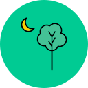 Árbol icon