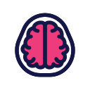 neuroimagen icon