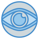 ojos icon