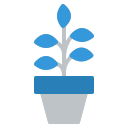 plantas icon