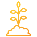 plantas icon