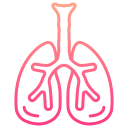 pulmones icon