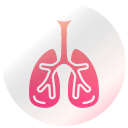 pulmones icon