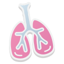 pulmones icon