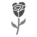 rosa icon