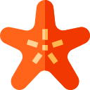 Estrella de mar icon