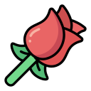 rosa icon