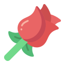 rosa icon