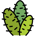 cactus icon