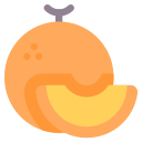 melón icon