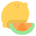 fruta de limon icon