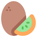 kiwi icon