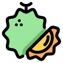 fruta durian icon