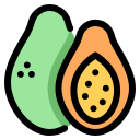 papaya icon