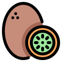 kiwi icon