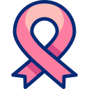 cinta rosa icon