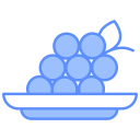 uvas icon