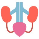 urología icon