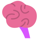 cerebro icon