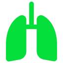 pulmones 