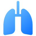 pulmones 