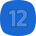 12 icon