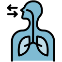 sistema respiratorio icon