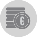 dinero en euros icon